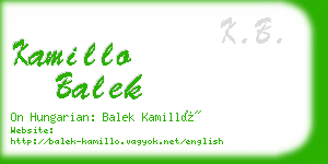 kamillo balek business card